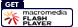 Scarica il plug-in di Flash